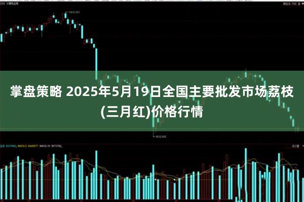 掌盘策略 2025年5月19日全国主要批发市场荔枝(三月红)价格行情