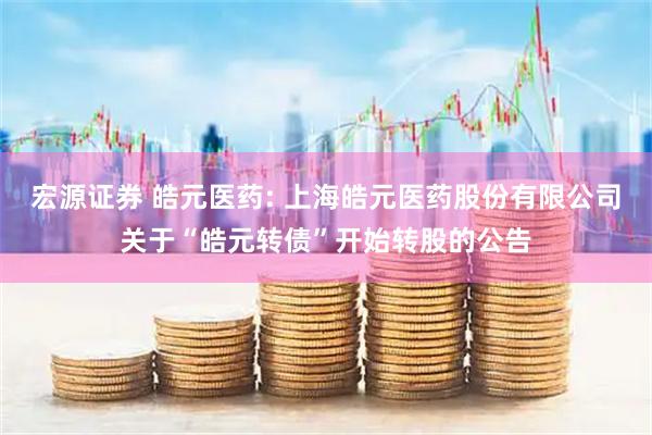 宏源证券 皓元医药: 上海皓元医药股份有限公司关于“皓元转债”开始转股的公告
