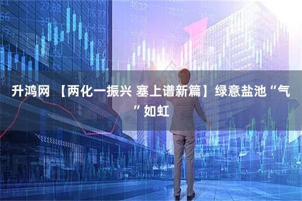升鸿网 【两化一振兴 塞上谱新篇】绿意盐池“气”如虹