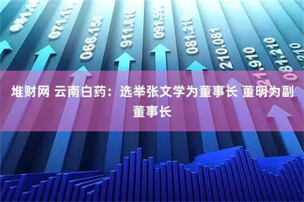 堆财网 云南白药：选举张文学为董事长 董明为副董事长