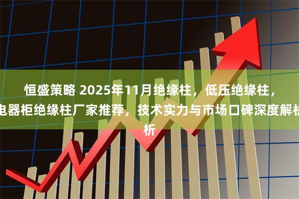 恒盛策略 2025年11月绝缘柱,低压绝缘柱,电器柜绝缘柱厂家推荐,技术实力与市场口碑深度解析