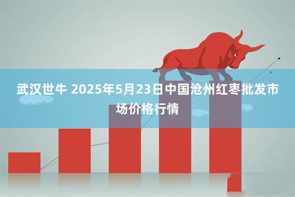 武汉世牛 2025年5月23日中国沧州红枣批发市场价格行情