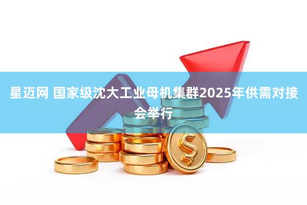 星迈网 国家级沈大工业母机集群2025年供需对接会举行