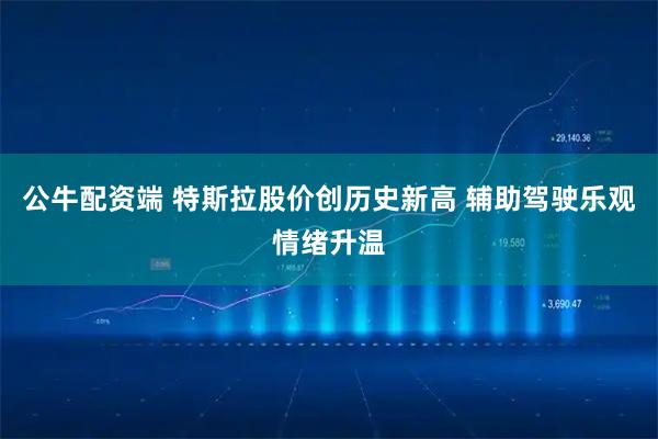 公牛配资端 特斯拉股价创历史新高 辅助驾驶乐观情绪升温